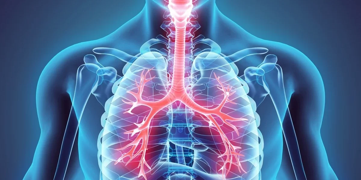 Breathing Easy A Guide to Respiratory Health