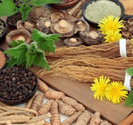 Adaptogens Nature's Stress-Busters