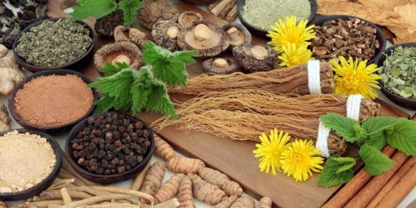 Adaptogens Nature's Stress-Busters