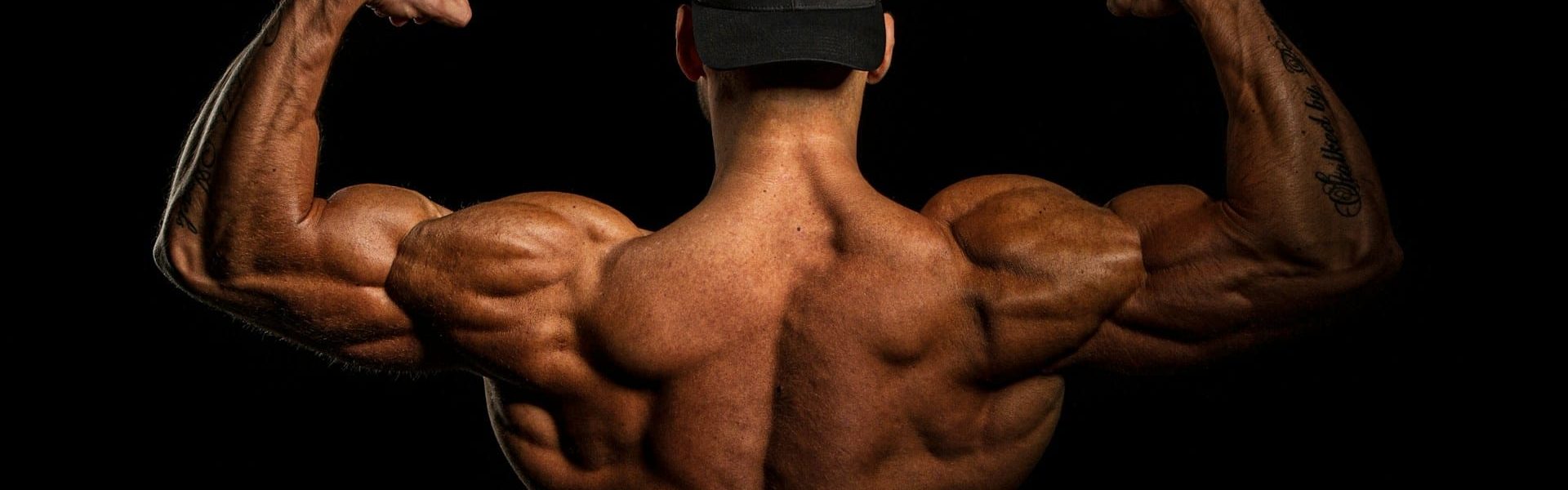 Building a Better You A Guide to Bodybuilding