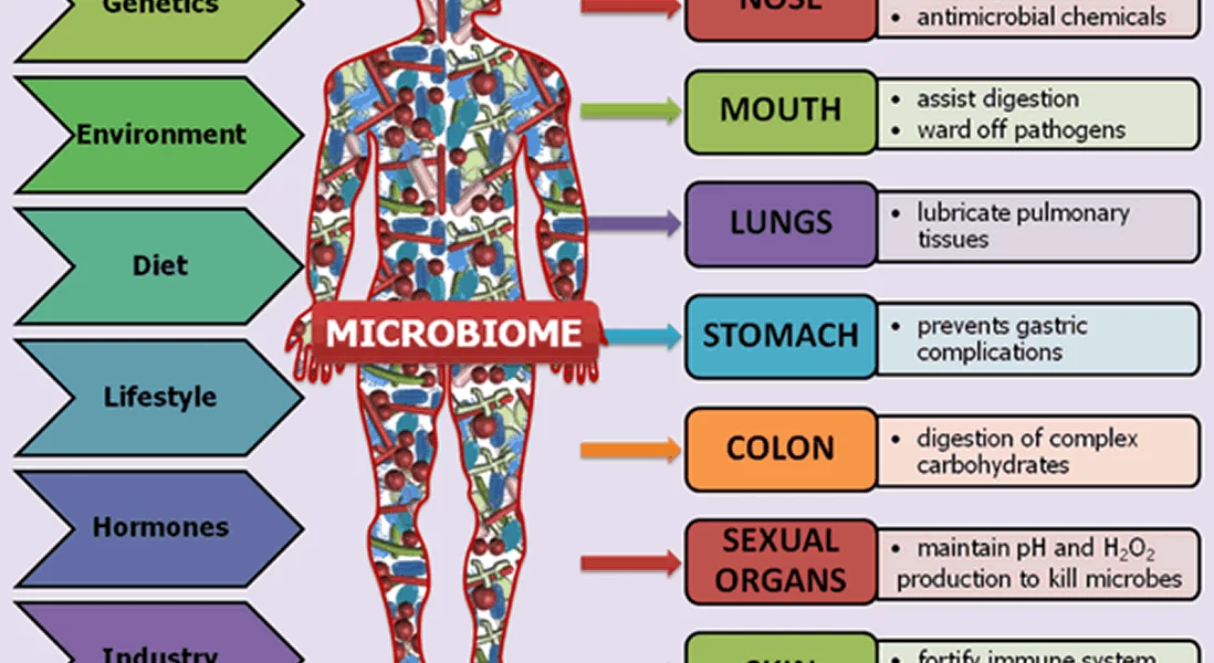 Microbiome health